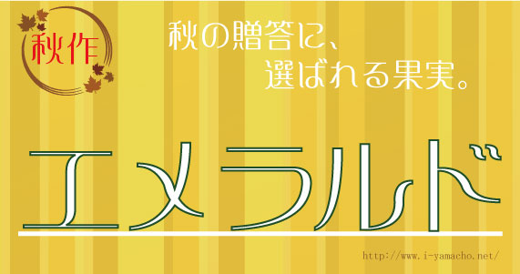 秋においしいエメラルドメロン